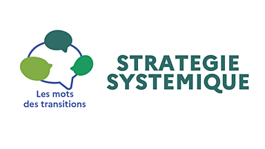 Les Mots des transitions : Stratégie systémique